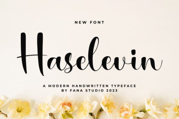 Haselevin Script: The Font That Gave Our Campaign Visual Clarity