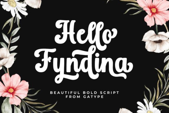 Hello Fyndina – A Designer’s Perspective on a Script Amp