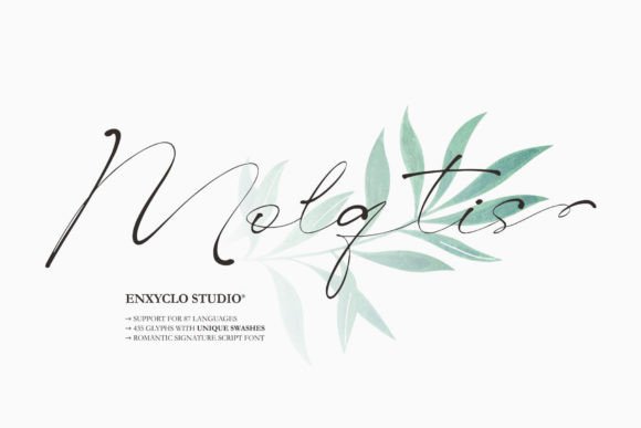 Molqtis: A Romantic Script Font That Brings Warmth to Brand Design